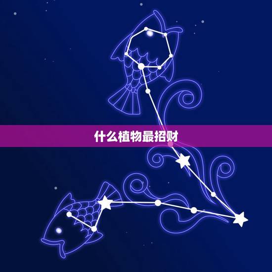 什么植物最招财,什么样的花可以招财? 什么植物最招财,什么样的花可以招财?