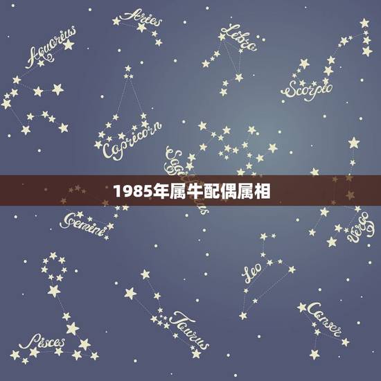 1985年属牛配偶属相，85年属牛的上等婚配