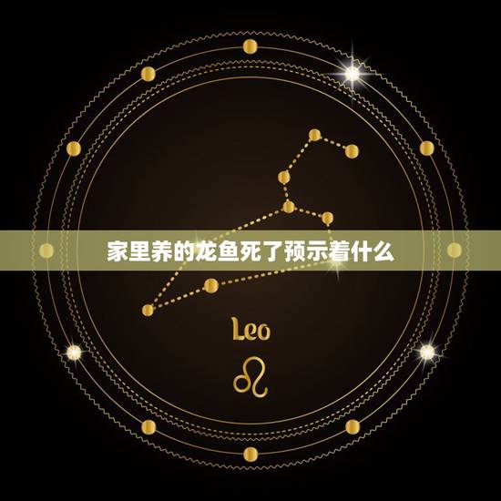 家里养的龙鱼死了预示着什么，养了三条银龙 两条银龙突然竖着快死了……高