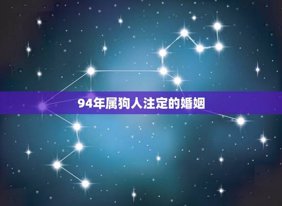 94年属狗人注定的婚姻 94年属狗女晚婚注定的配偶 94年属狗人注定的婚姻 94年属狗女晚婚注定的配偶