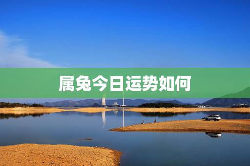 属兔今日运势如何,属马今日财运 属兔今日运势如何,属马今日财运