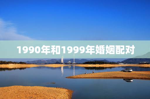1990年和1999年婚姻配对，1990年和一九九九年相配吗？