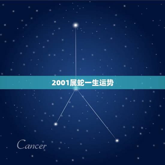 2001属蛇一生运势，2001年3月21日出生属蛇是什么命