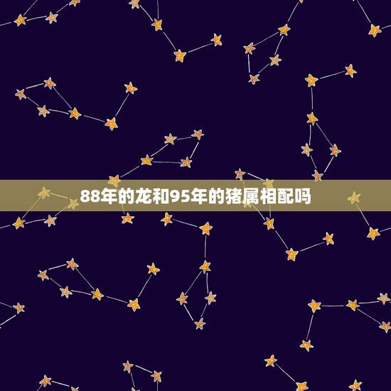 88年的龙和95年的猪属相配吗,1988年大龙跟1995年属猪的相配吗 88年的龙和95年的猪属相配吗,1988年大龙跟1995年属猪的相配吗