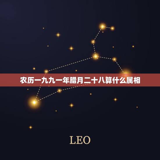 农历一九九一年腊月二十八算什么属相，1991年属什么生肖 ？农历腊月二