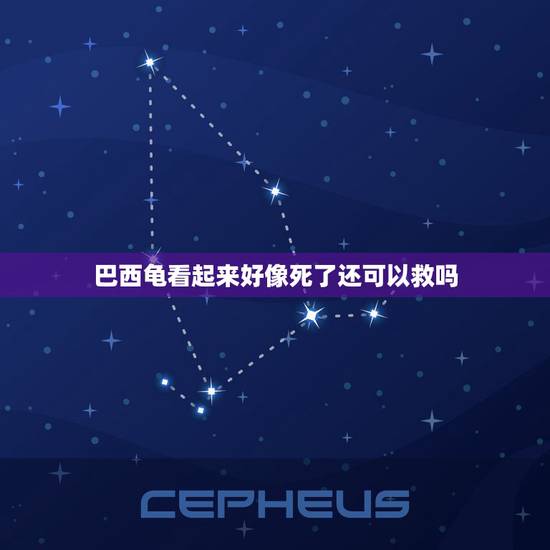 巴西龟看起来好像死了还可以救吗，请问我的乌龟是要死了吗？还有救吗？