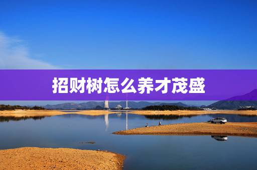 招财树怎么养才茂盛,怎样养好招财树? 招财树怎么养才茂盛,怎样养好招财树?
