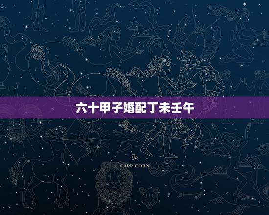 六十甲子婚配丁未壬午,合婚术的问题! 六十甲子婚配丁未壬午,合婚术的问题!