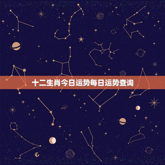 十二生肖今日运势每日运势查询，十二生肖星座每日运势