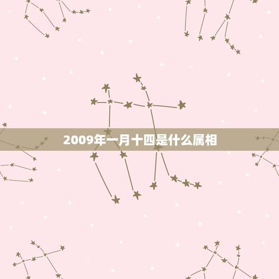 2009年一月十四是什么属相，一月十四，是什么星座，本人属牛，男，（搞