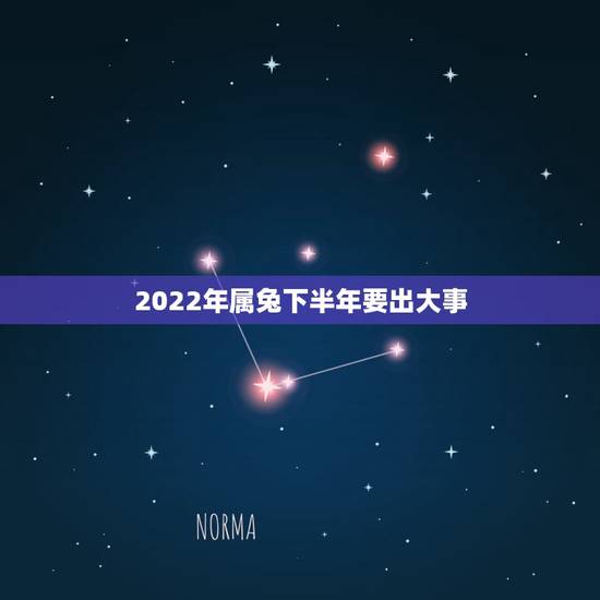 2022年属兔下半年要出大事,2022年属兔运程 2022年属兔下半年要出大事,2022年属兔运程