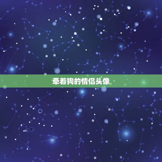 牵着狗的情侣头像,求几对阿猫阿狗之类的情侣 牵着狗的情侣头像,求几对阿猫阿狗之类的情侣