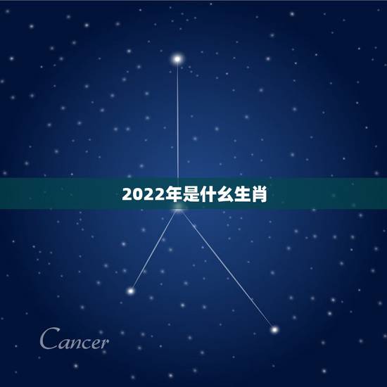 2022年是什幺生肖,2022年是什么生肖年份 2022年是什幺生肖,2022年是什么生肖年份