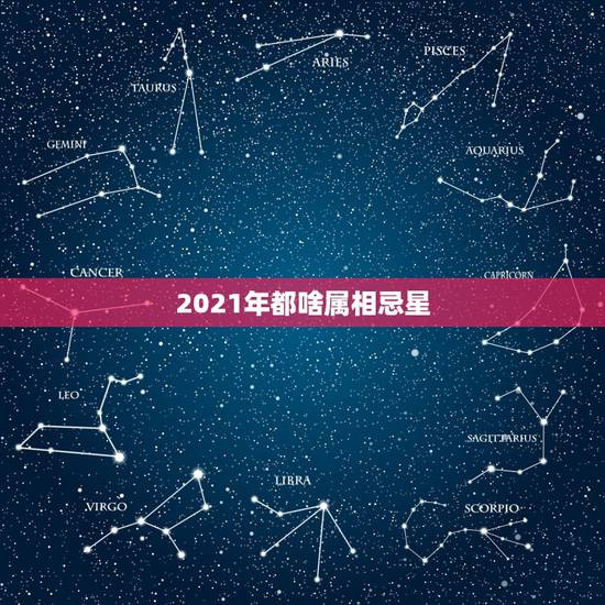 2021年都啥属相忌星，2021年清明节属什么