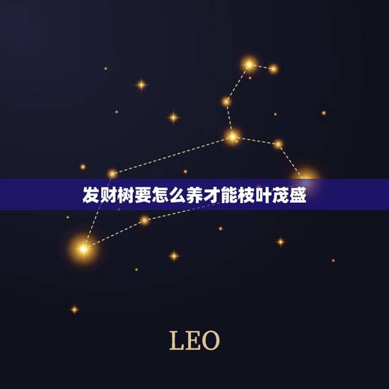 发财树要怎么养才能枝叶茂盛，怎样养好发财树？