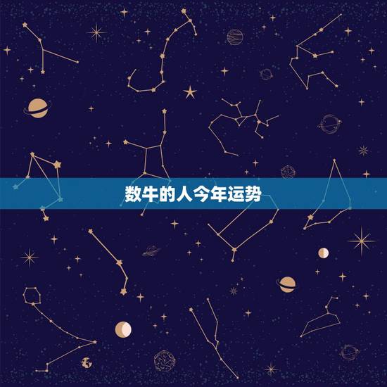 数牛的人今年运势，属牛八五年出生的人今年运气如何呢？
