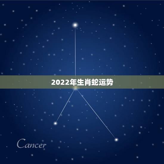 2022年生肖蛇运势,属蛇未来5年运势走向 2022年生肖蛇运势,属蛇未来5年运势走向