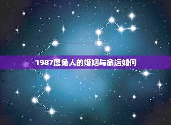 1987属兔人的婚姻与命运如何，属兔男人的婚姻与爱情