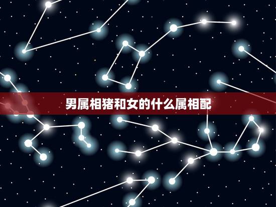 男属相猪和女的什么属相配,猪和什么属相最配 男属相猪和女的什么属相配,猪和什么属相最配