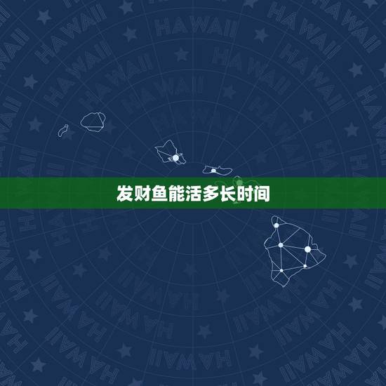 发财鱼能活多长时间，招财鱼可以活多少年？