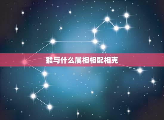猴与什么属相相配相克，属虎和什么属相最配