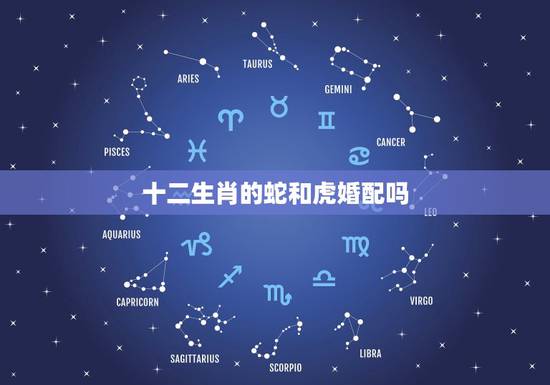 十二生肖的蛇和虎婚配吗，属蛇的人和什么属相比较相配？虎、马、兔配么？