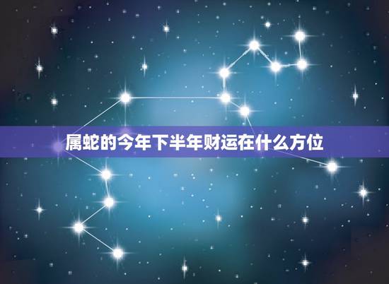属蛇的今年下半年财运在什么方位,属蛇人怎么才能有偏财 属蛇的今年下半年财运在什么方位,属蛇人怎么才能有偏财