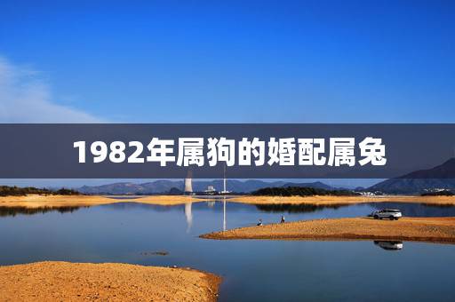 1982年属狗的婚配属兔,1982年属狗女和1987年属兔男的婚姻如何 1982年属狗的婚配属兔,1982年属狗女和1987年属兔男的婚姻如何