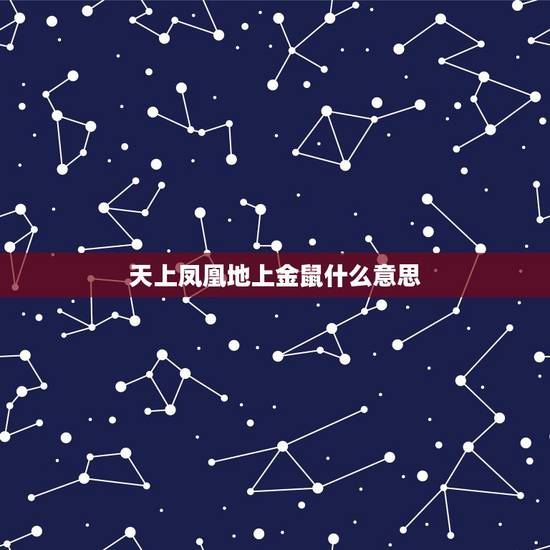 天上凤凰地上金鼠什么意思,天上凤凰地上金虎是什么意思 天上凤凰地上金鼠什么意思,天上凤凰地上金虎是什么意思