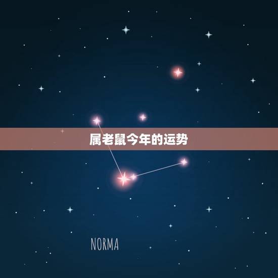 属老鼠今年的运势,属鼠人今年运程,1984年鼠运程 属老鼠今年的运势,属鼠人今年运程,1984年鼠运程