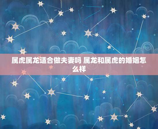 属虎属龙适合做夫妻吗 属龙和属虎的婚姻怎么样