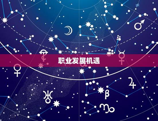职业发展机遇