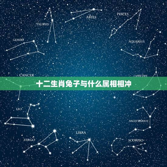十二生肖兔子与什么属相相冲，属兔与什么属相相合，相冲？