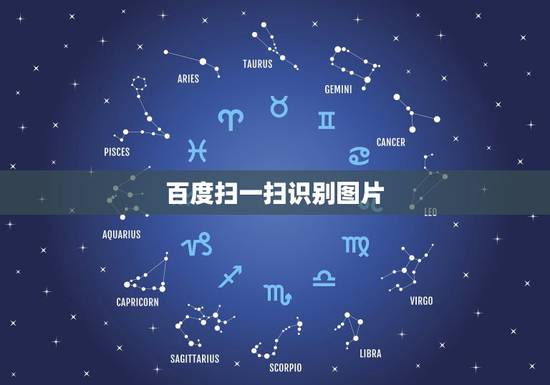 百度扫一扫识别图片，怎样使用手机扫一扫识别植物