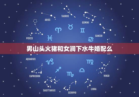 男山头火猪和女涧下水牛婚配么，1995年12月的山头火男和1996年2
