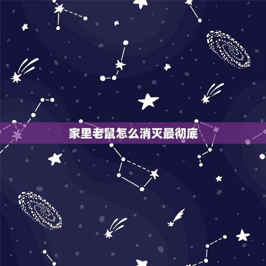 家里老鼠怎么消灭最彻底，家里有只老鼠怎么消灭