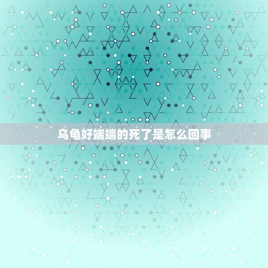 乌龟好端端的死了是怎么回事，为什么小乌龟养着养着就突然死了一只呢？