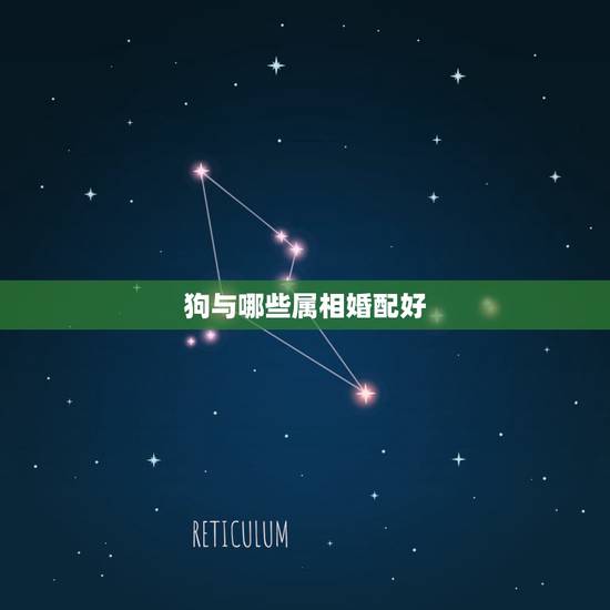 狗与哪些属相婚配好,属相狗和什么属相好 狗与哪些属相婚配好,属相狗和什么属相好