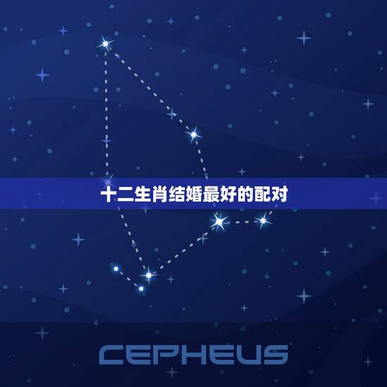 十二生肖结婚最好的配对,12生肖配对表 十二生肖结婚最好的配对,12生肖配对表