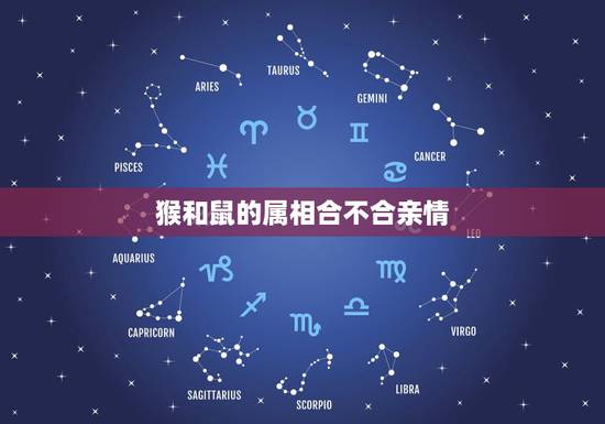 猴和鼠的属相合不合亲情,属猴和属老鼠相配么? 猴和鼠的属相合不合亲情,属猴和属老鼠相配么?
