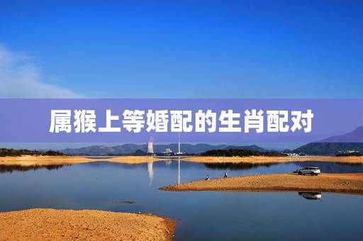 属猴上等婚配的生肖配对,属羊和属鼠好吗 属猴上等婚配的生肖配对,属羊和属鼠好吗