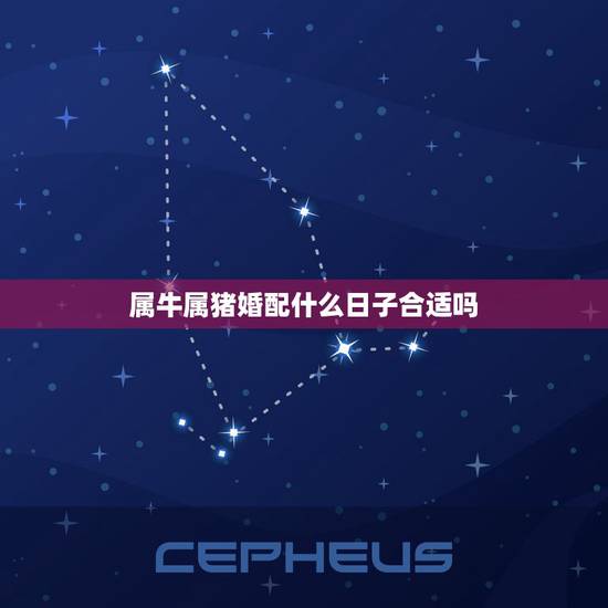 属牛属猪婚配什么日子合适吗，属猪属牛得什么日子结婚最好