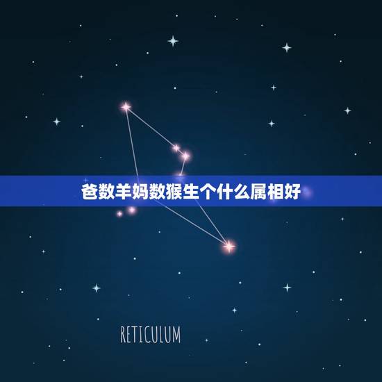 爸数羊妈数猴生个什么属相好，属羊的爸爸属猴的妈妈生属牛的儿子好吗