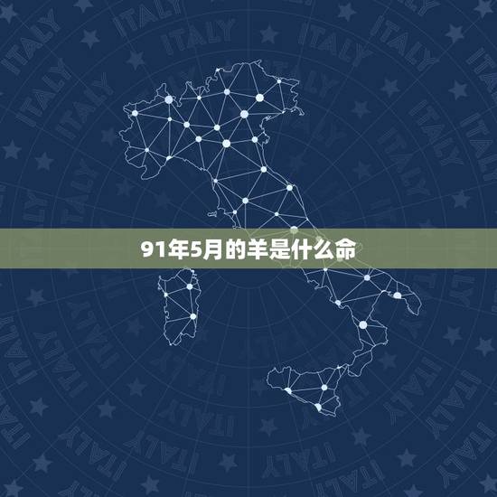 91年5月的羊是什么命，1995年10月13是什么命