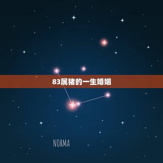 83属猪的一生婚姻，属猪人的婚姻与命运83年