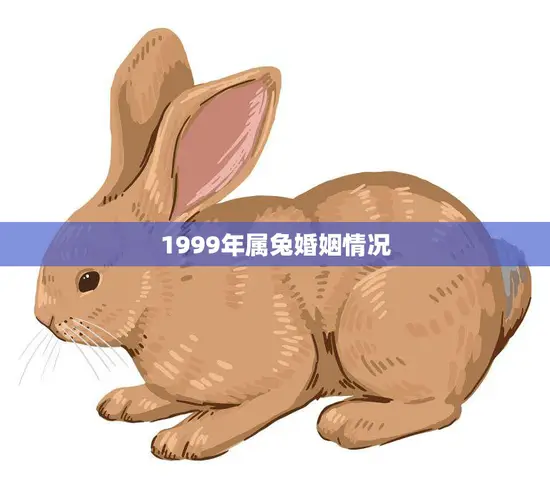1999年属兔婚姻情况(兔年出生的你婚姻运势如何) 1999年属兔婚姻情况(兔年出生的你婚姻运势如何)