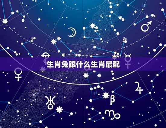生肖兔跟什么生肖最配，生肖兔跟什么生肖相冲