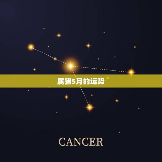 属猪5月的运势,2o16年属猪农历5月出生的运势 属猪5月的运势,2o16年属猪农历5月出生的运势