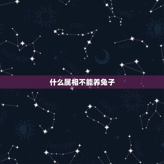 什么属相不能养兔子，我养了3年的兔子丢了