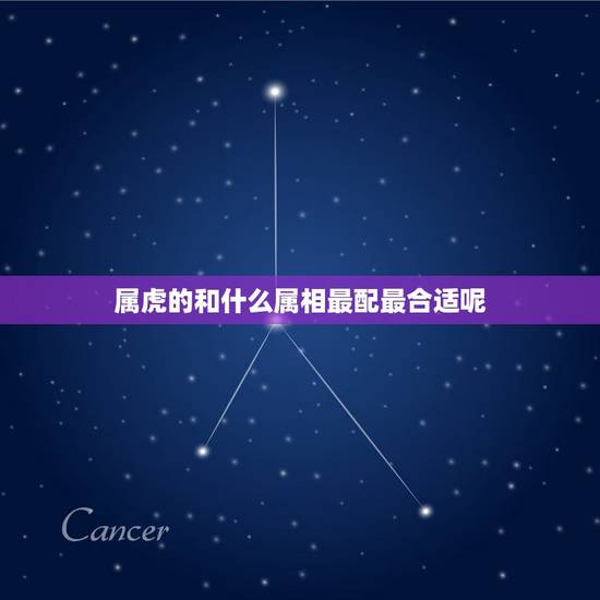 属虎的和什么属相最配最合适呢，属虎的男人和什么属相女性最配最合适呢